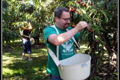 R.E.O. Director Picks Cherries