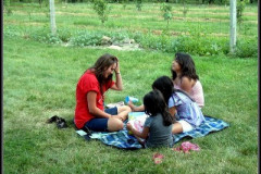 Education Right In The Orchards