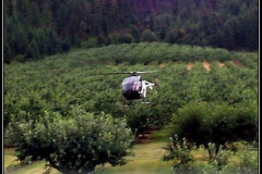 fc3001lg