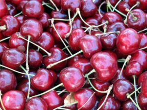 Flathead Lake Cherries