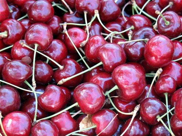 Retail Sellers Information ~ Montana Cherry Facts